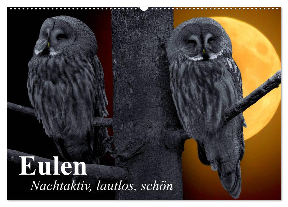 Owls. Nocturnal, silent, beautiful (CALVENDO wall calendar 2024) 