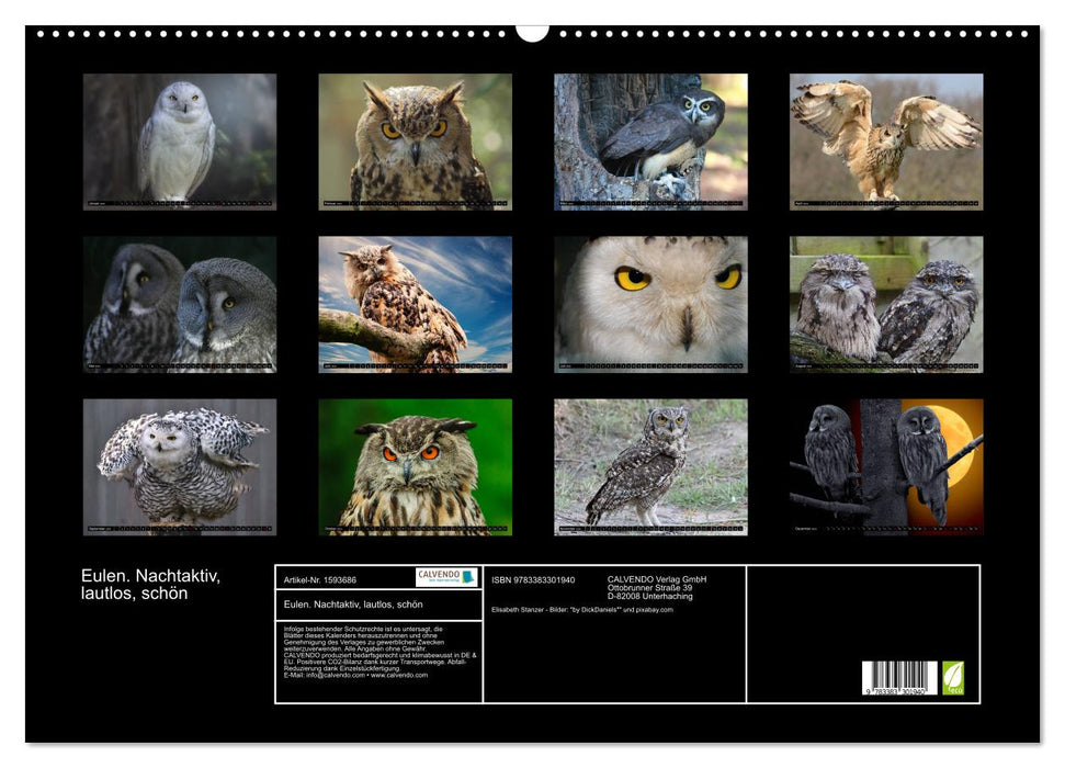 Owls. Nocturnal, silent, beautiful (CALVENDO wall calendar 2024) 