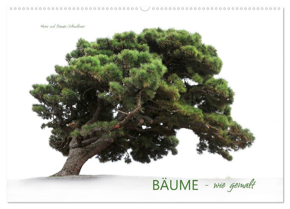 ARBRES - comme peints (calendrier mural CALVENDO 2024) 