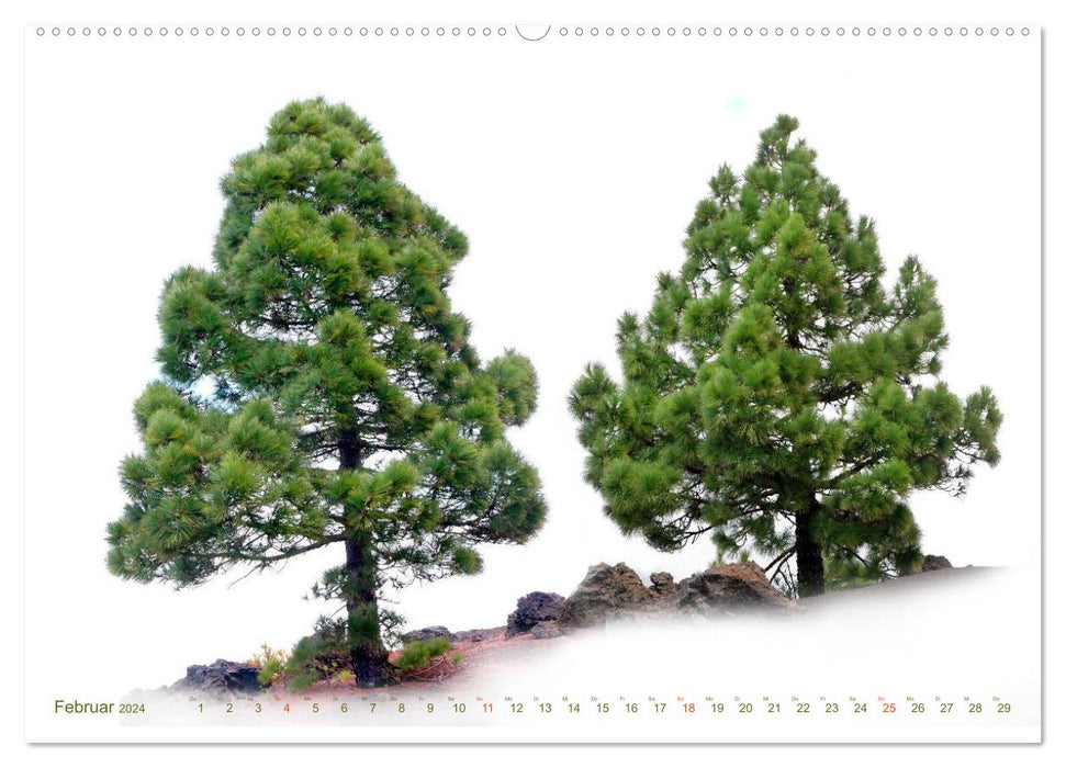 TREES - as if painted (CALVENDO wall calendar 2024) 