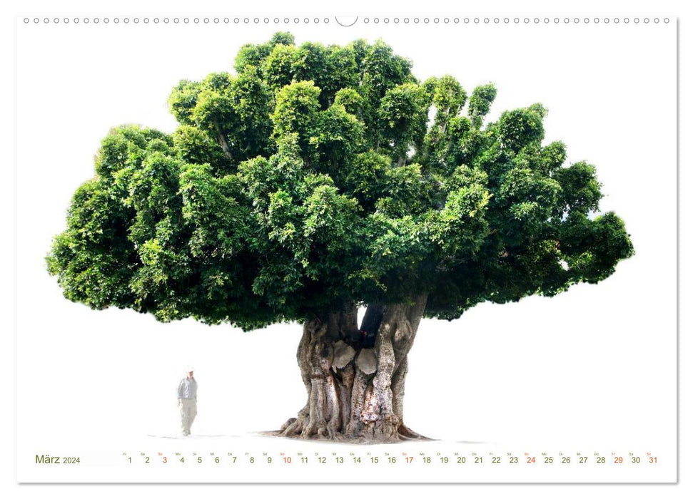 ARBRES - comme peints (calendrier mural CALVENDO 2024) 