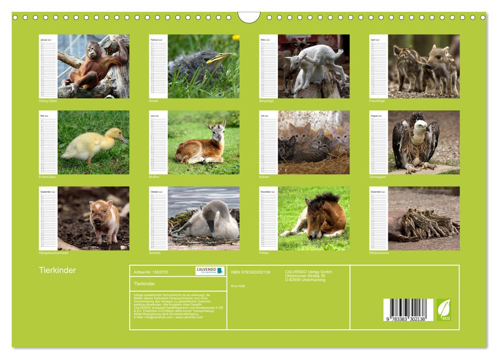 Animal children (CALVENDO wall calendar 2024) 