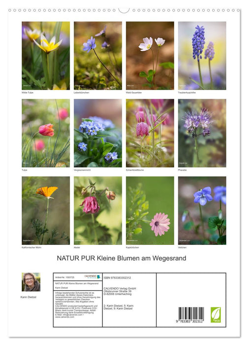 PURE NATURE Small flowers along the way (CALVENDO Premium Wall Calendar 2024) 