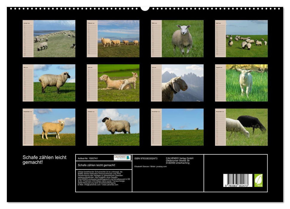 Schafe zählen leicht gemacht! (CALVENDO Premium Wandkalender 2024)