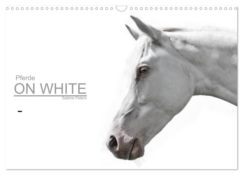 Horses ON WHITE (CALVENDO wall calendar 2024) 
