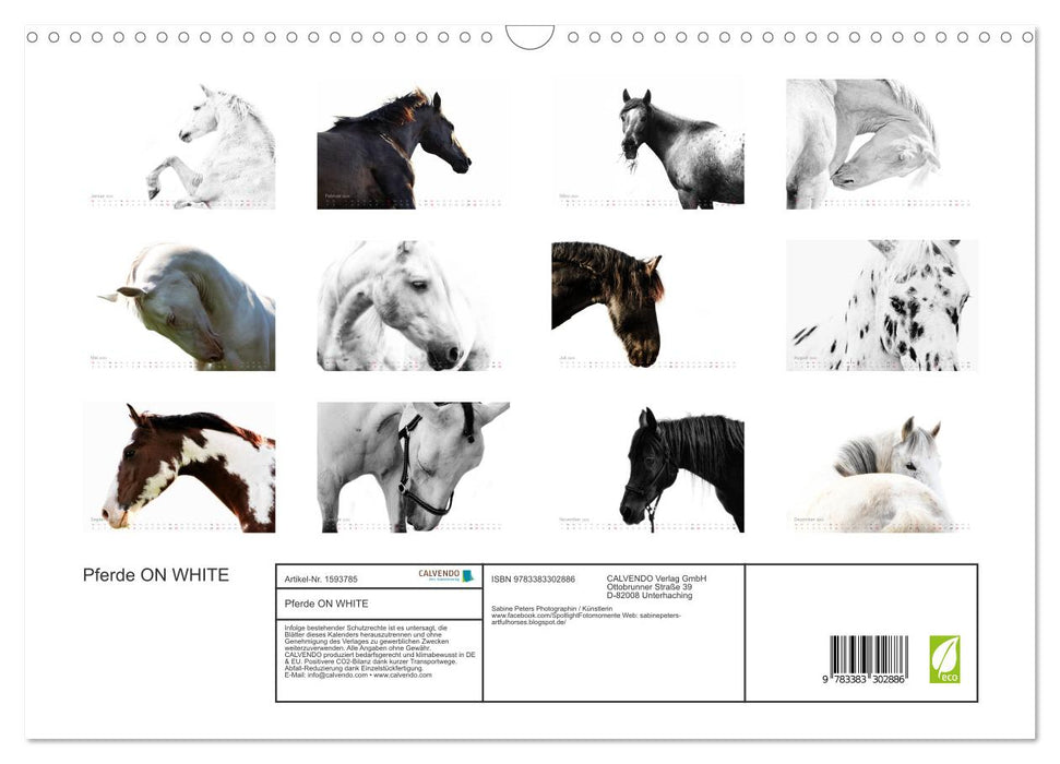 Horses ON WHITE (CALVENDO wall calendar 2024) 