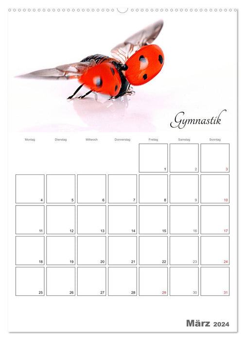 Sportliche Tiere (CALVENDO Premium Wandkalender 2024)