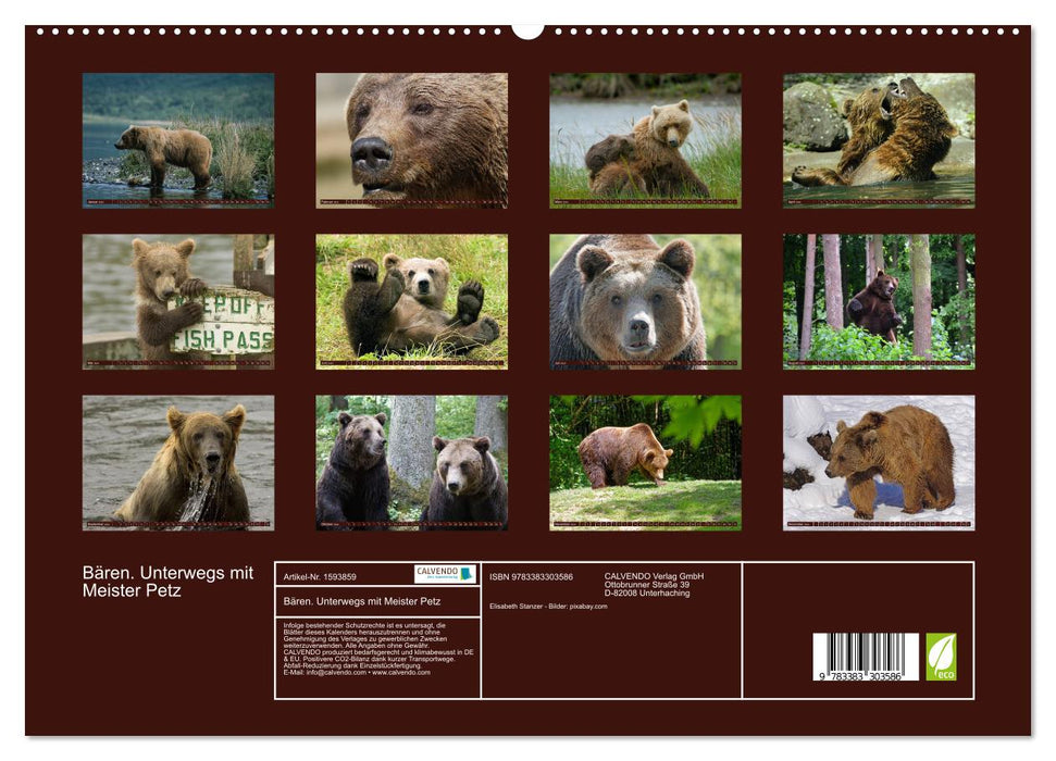 Bears. On the road with Master Petz (CALVENDO Premium Wall Calendar 2024) 