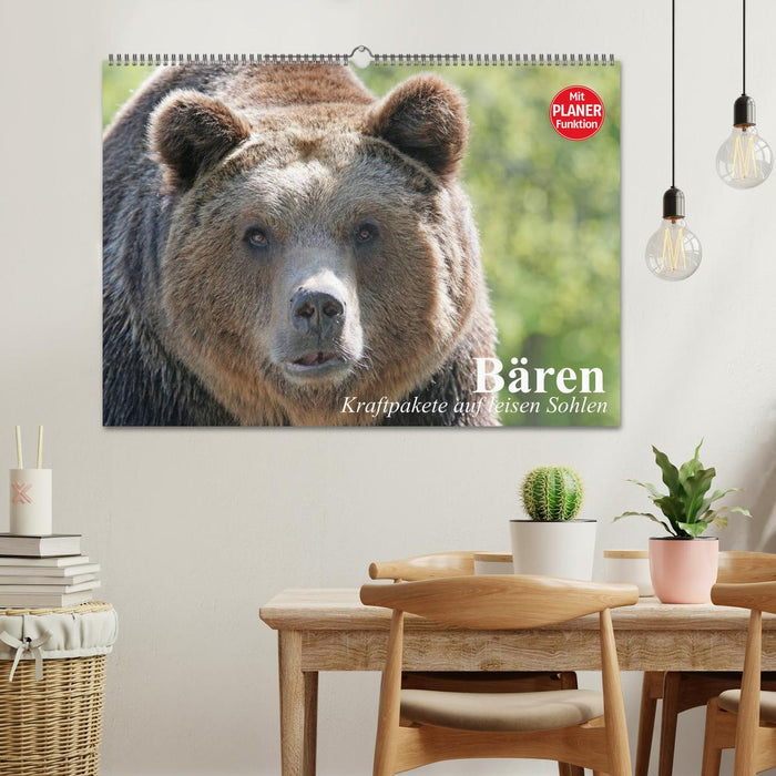 Bears. Powerhouses on quiet surfaces (CALVENDO wall calendar 2024) 