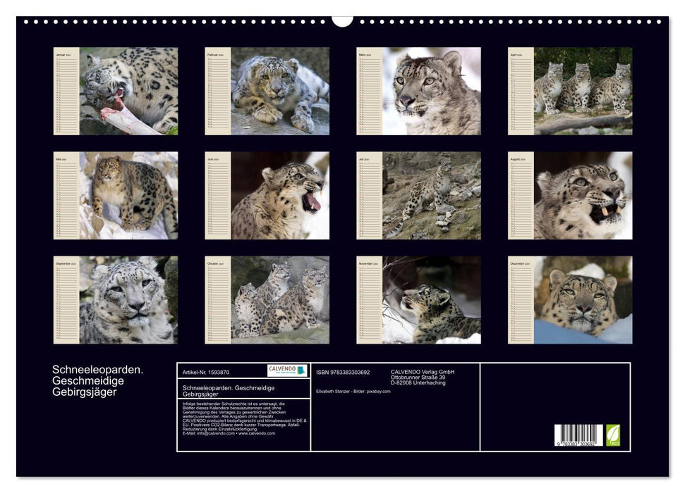 Snow leopards. Supple mountain soldiers (CALVENDO wall calendar 2024) 