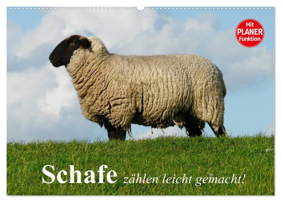 Counting sheep made easy! (CALVENDO wall calendar 2024) 