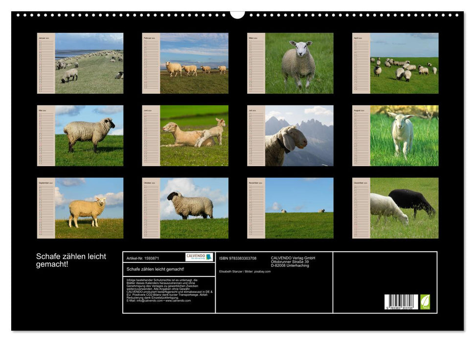 Compter les moutons en toute simplicité ! (Calendrier mural CALVENDO 2024) 