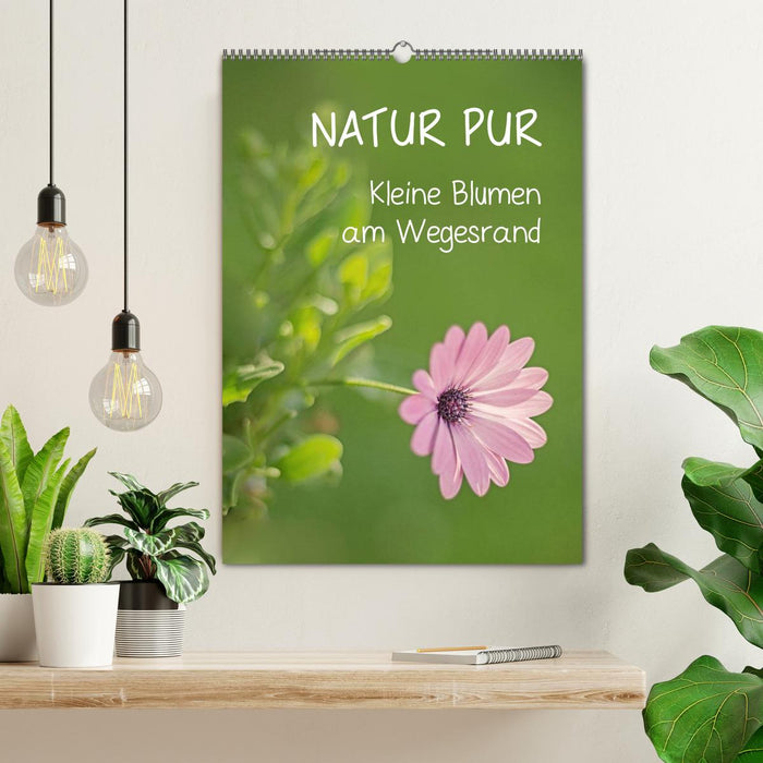 PURE NATURE Petites fleurs en chemin (Calendrier mural CALVENDO 2024) 