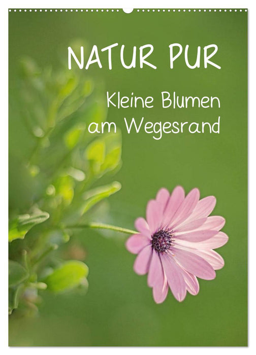 PURE NATURE Small flowers along the way (CALVENDO wall calendar 2024) 