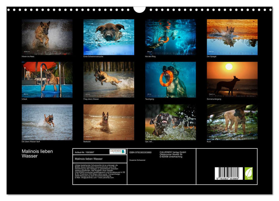 Malinois love water (CALVENDO wall calendar 2024) 