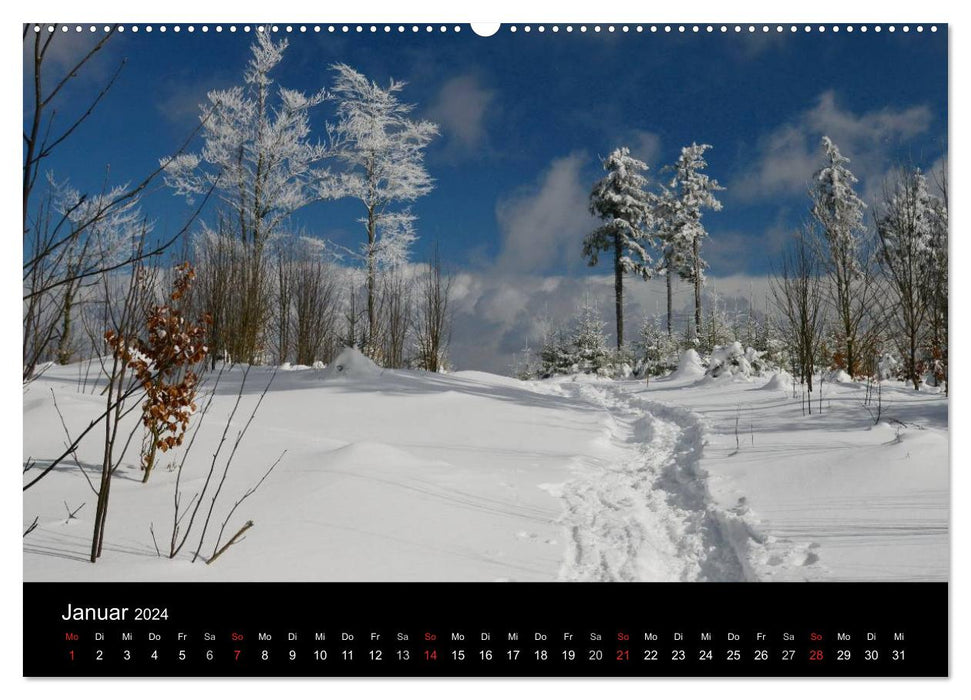 Forêt bavaroise enchanteresse (Calendrier mural CALVENDO Premium 2024) 