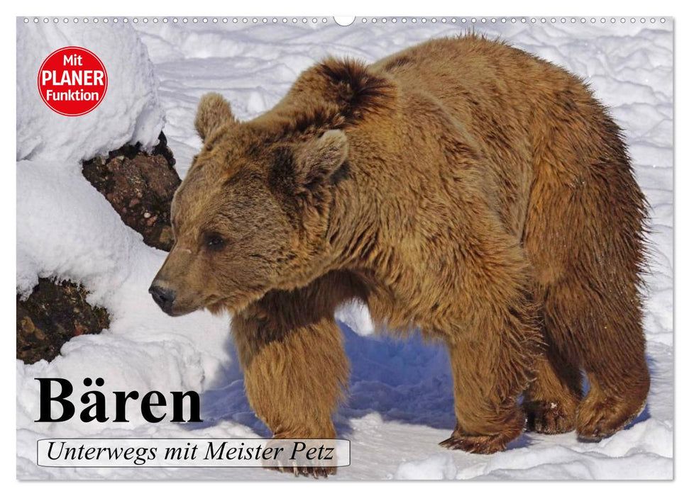 Bears. On the road with Master Petz (CALVENDO wall calendar 2024) 