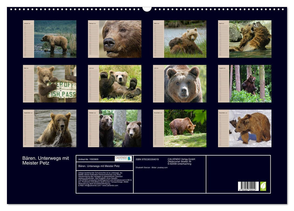 Bears. On the road with Master Petz (CALVENDO wall calendar 2024) 