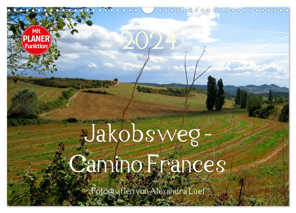 Jakobsweg - Camino Frances (CALVENDO Wandkalender 2024)