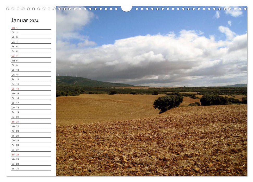 Way of St. James - Camino Frances (CALVENDO wall calendar 2024) 