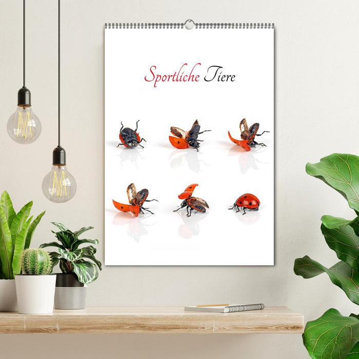 Sporty animals (CALVENDO wall calendar 2024) 