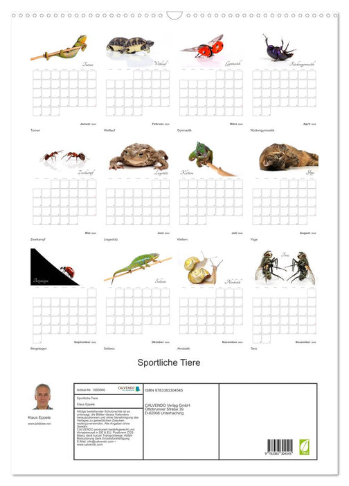 Animaux sportifs (Calendrier mural CALVENDO 2024) 