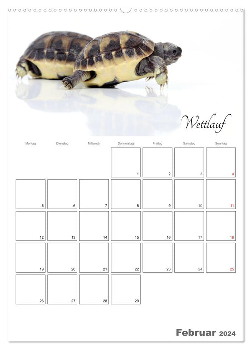 Sportliche Tiere (CALVENDO Wandkalender 2024)