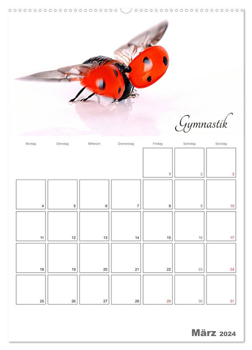 Animaux sportifs (Calendrier mural CALVENDO 2024) 