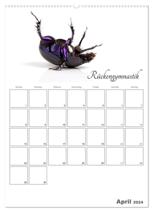 Sportliche Tiere (CALVENDO Wandkalender 2024)