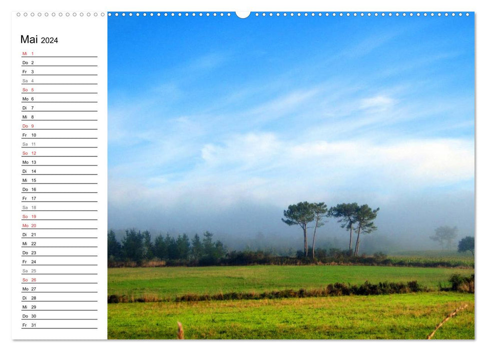 Chemin de Saint-Jacques - Camino Finisterre (Calendrier mural CALVENDO 2024) 