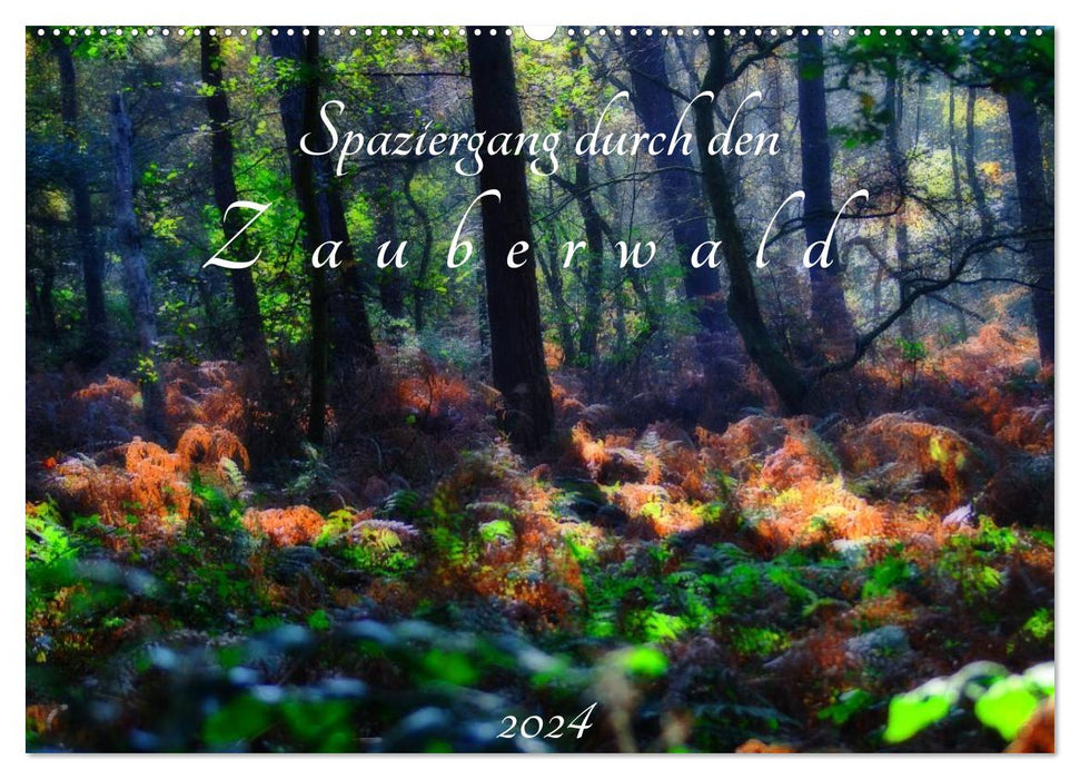 Spaziergang durch den Zauberwald (CALVENDO Wandkalender 2024)