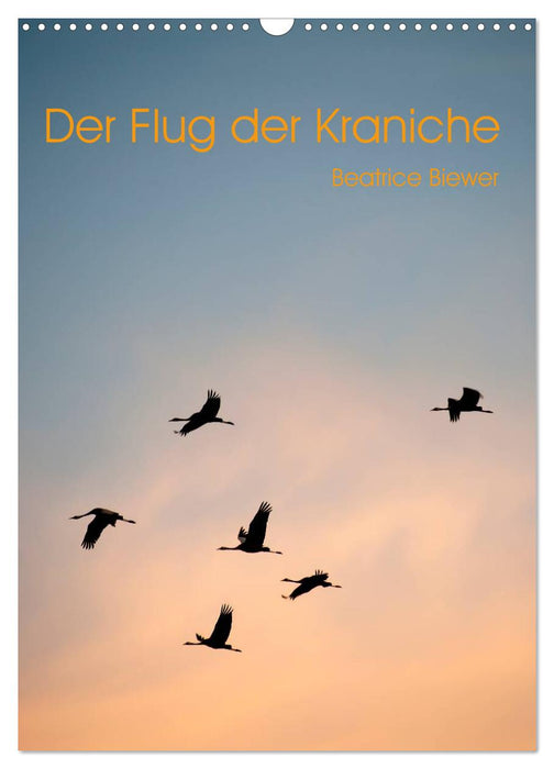 The flight of the cranes (CALVENDO wall calendar 2024) 