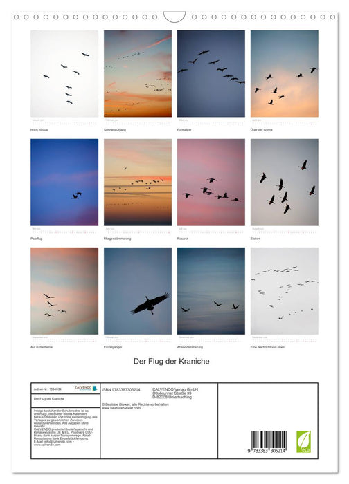 The flight of the cranes (CALVENDO wall calendar 2024) 