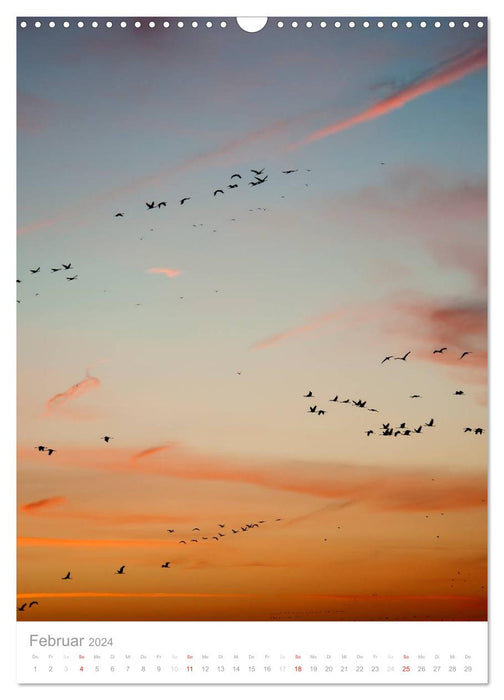 The flight of the cranes (CALVENDO wall calendar 2024) 