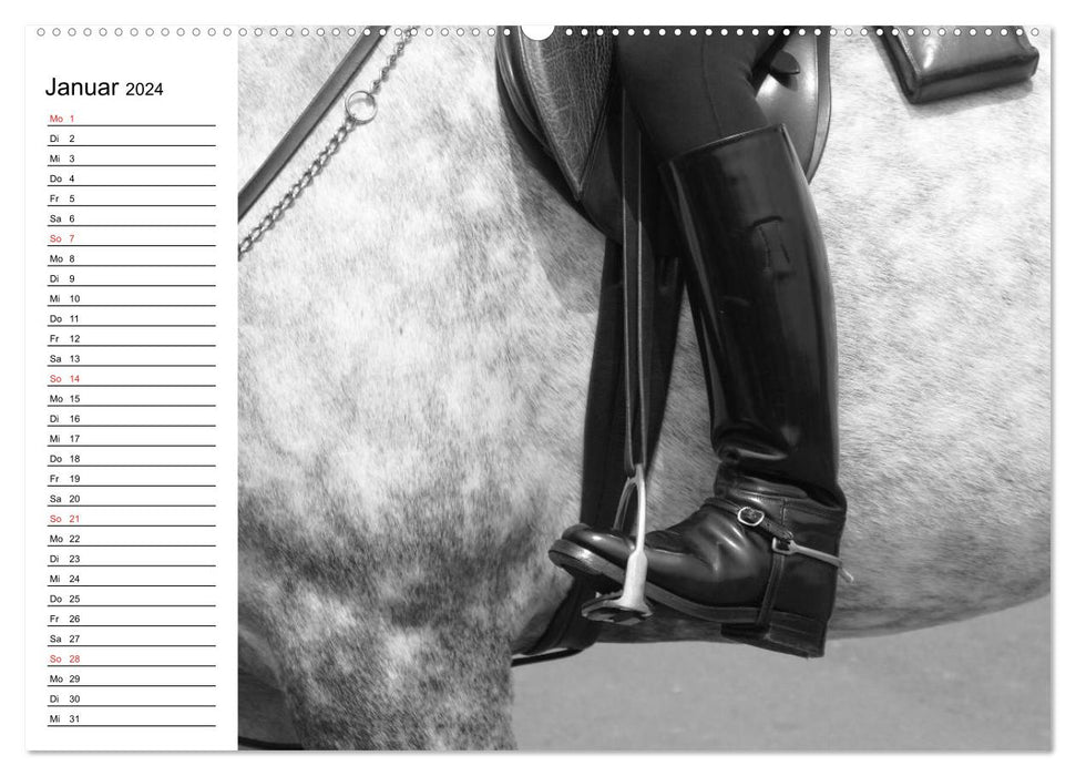 Leidenschaft Pferdesport - Impressionen (CALVENDO Premium Wandkalender 2024)