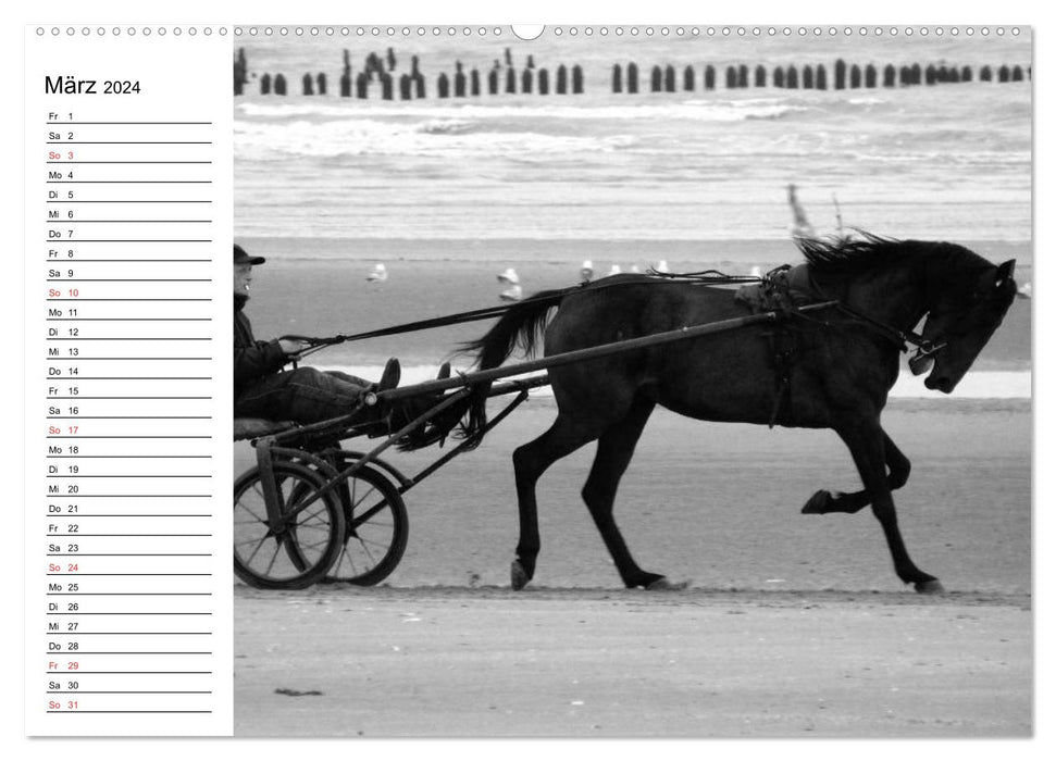 Leidenschaft Pferdesport - Impressionen (CALVENDO Premium Wandkalender 2024)