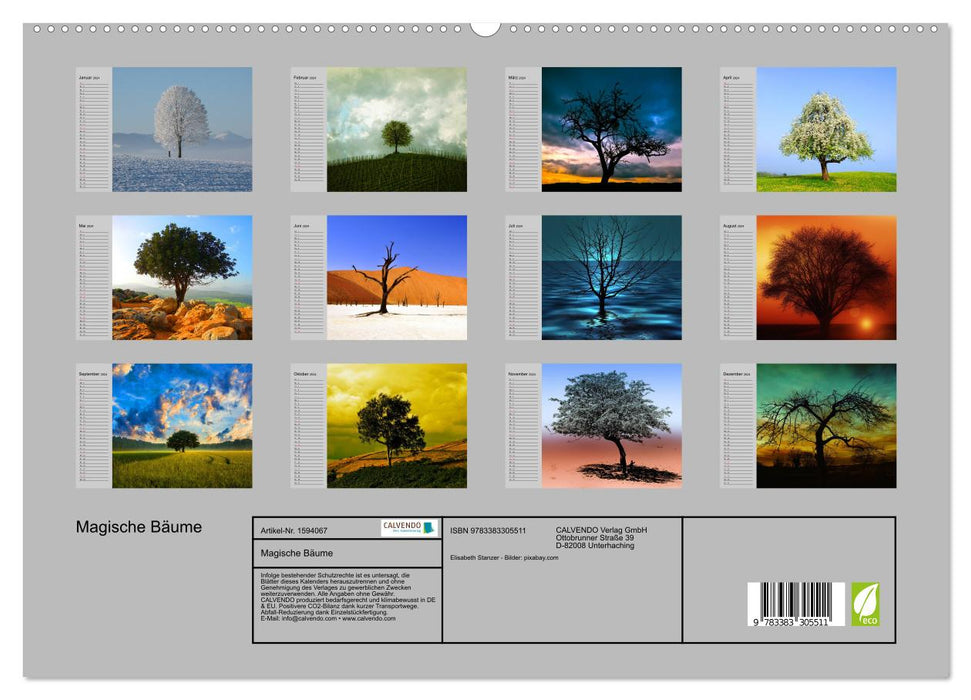 Arbres magiques (Calendrier mural CALVENDO Premium 2024) 