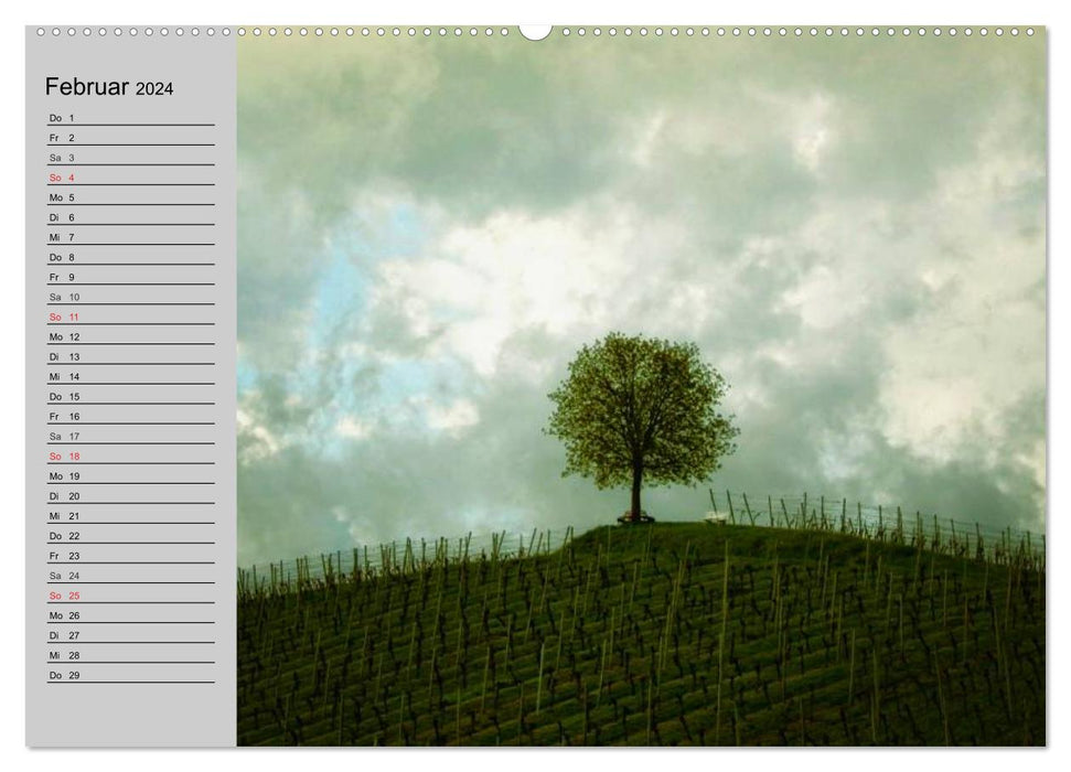 Arbres magiques (Calendrier mural CALVENDO Premium 2024) 