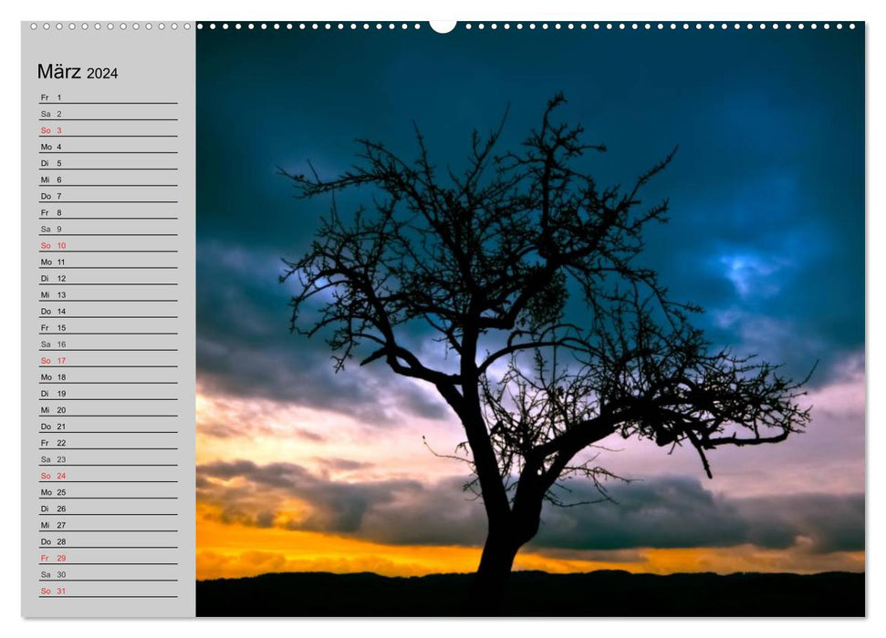 Arbres magiques (Calendrier mural CALVENDO Premium 2024) 