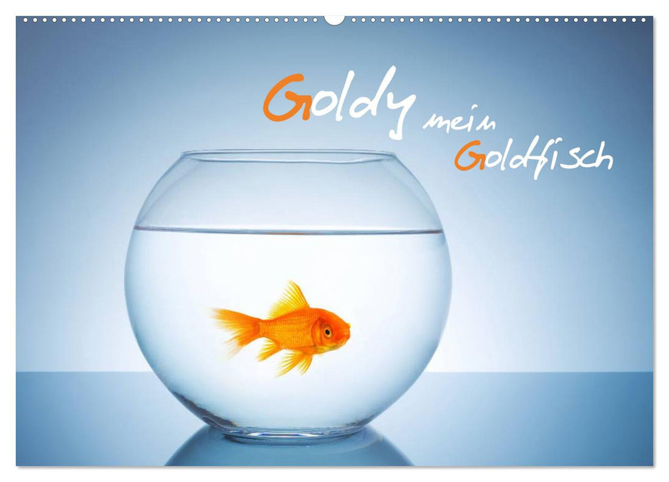 Goldy - mein Goldfisch (CALVENDO Wandkalender 2024)