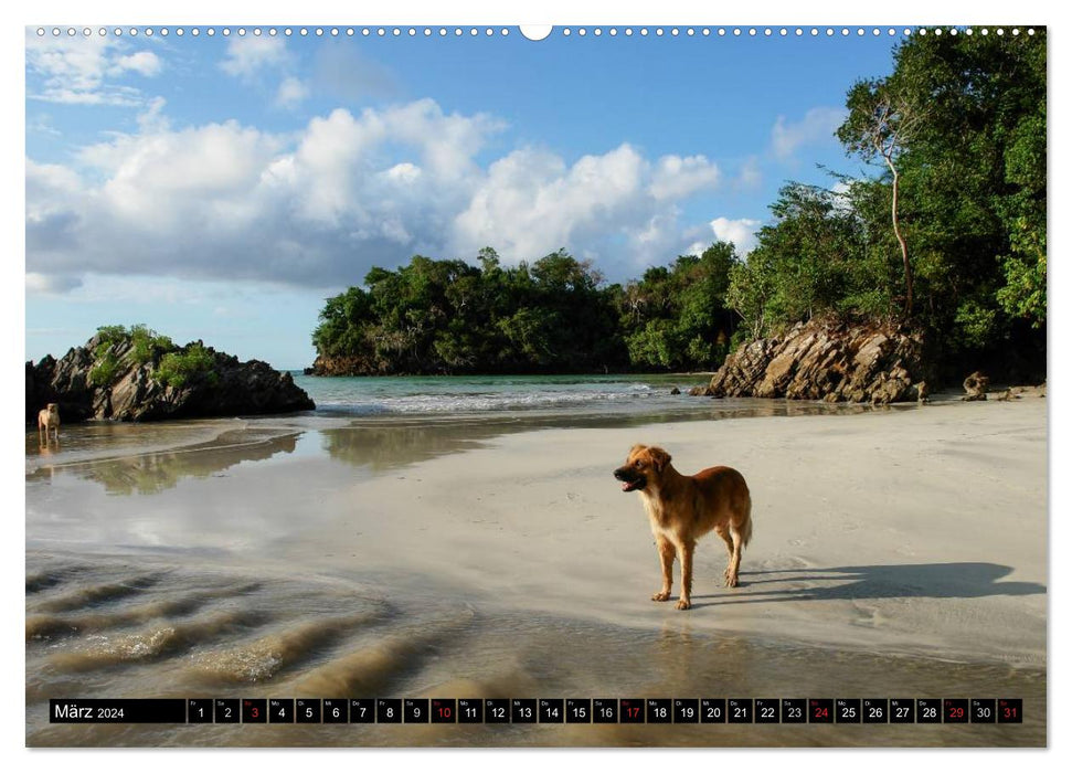 République Dominicaine sur les traces de Christophe Colomb (Calendrier mural CALVENDO 2024) 