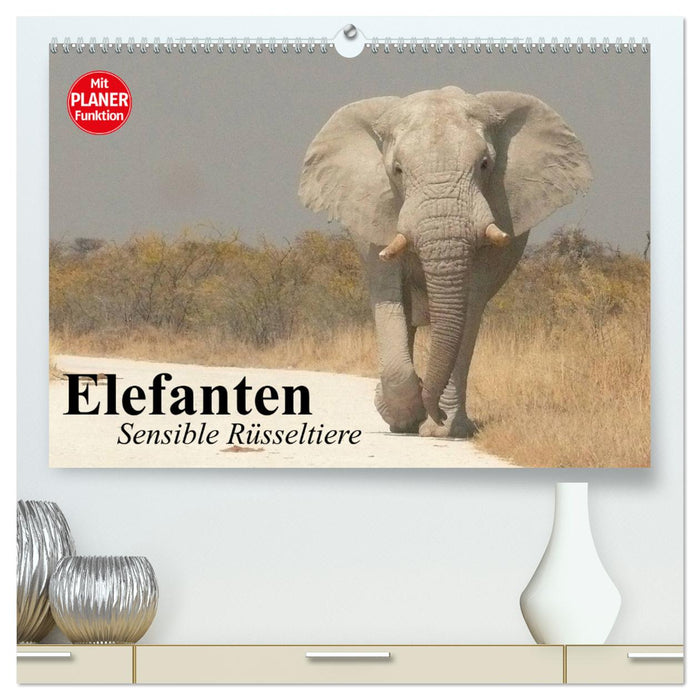 Éléphants. Proboscidiens sensibles (Calendrier mural CALVENDO Premium 2024) 