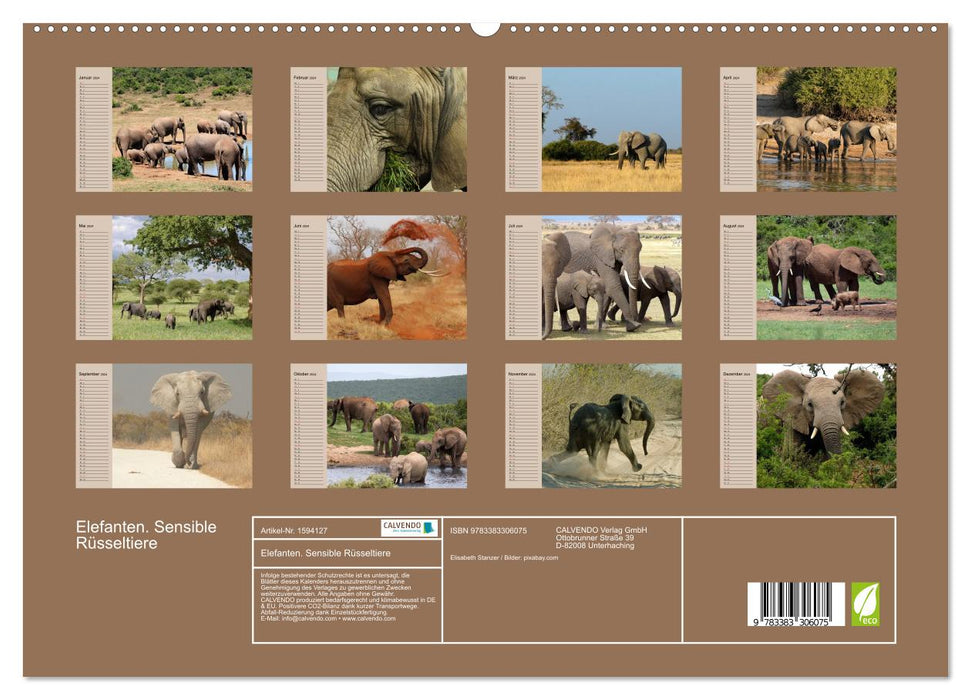 Éléphants. Proboscidiens sensibles (Calendrier mural CALVENDO Premium 2024) 