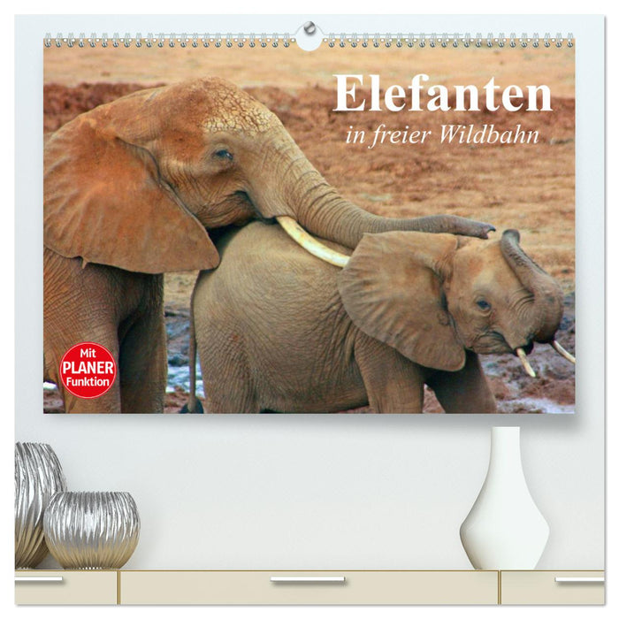 Éléphants dans la nature (Calendrier mural CALVENDO Premium 2024) 