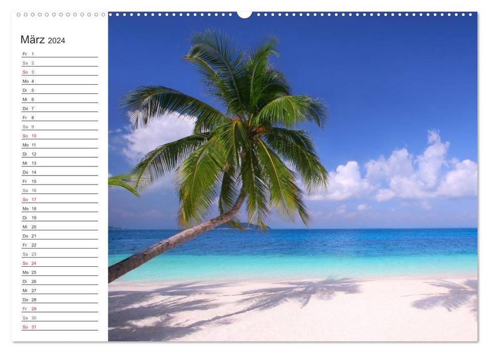 Muscheln und Strand - Sommerträume (CALVENDO Premium Wandkalender 2024)