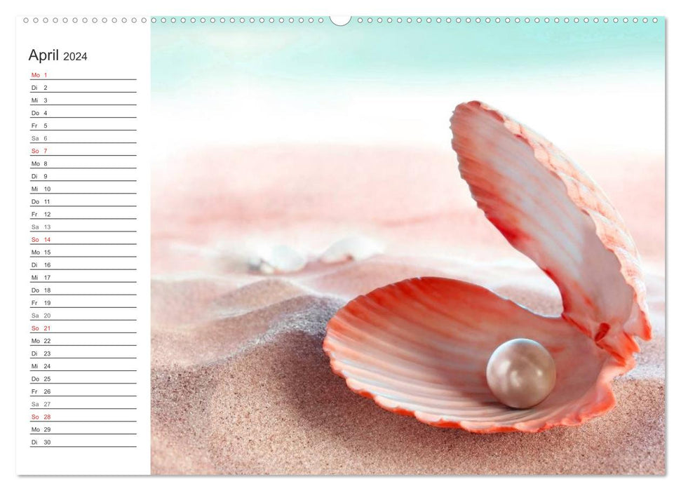 Coquillages et plage – Rêves d'été (Calvendo Premium Wall Calendar 2024) 