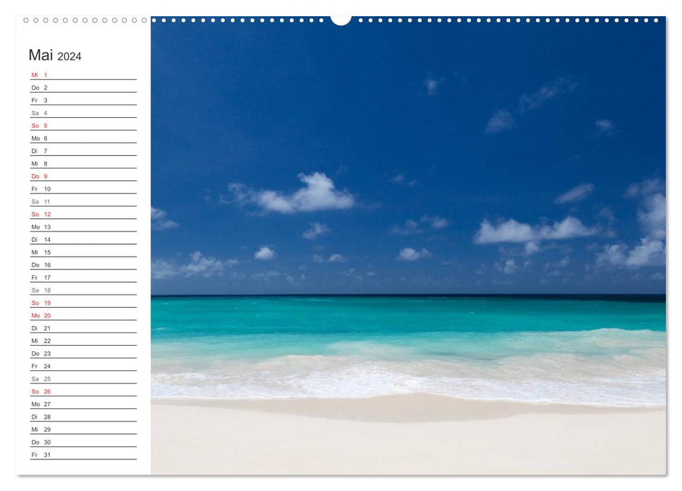 Coquillages et plage – Rêves d'été (Calvendo Premium Wall Calendar 2024) 