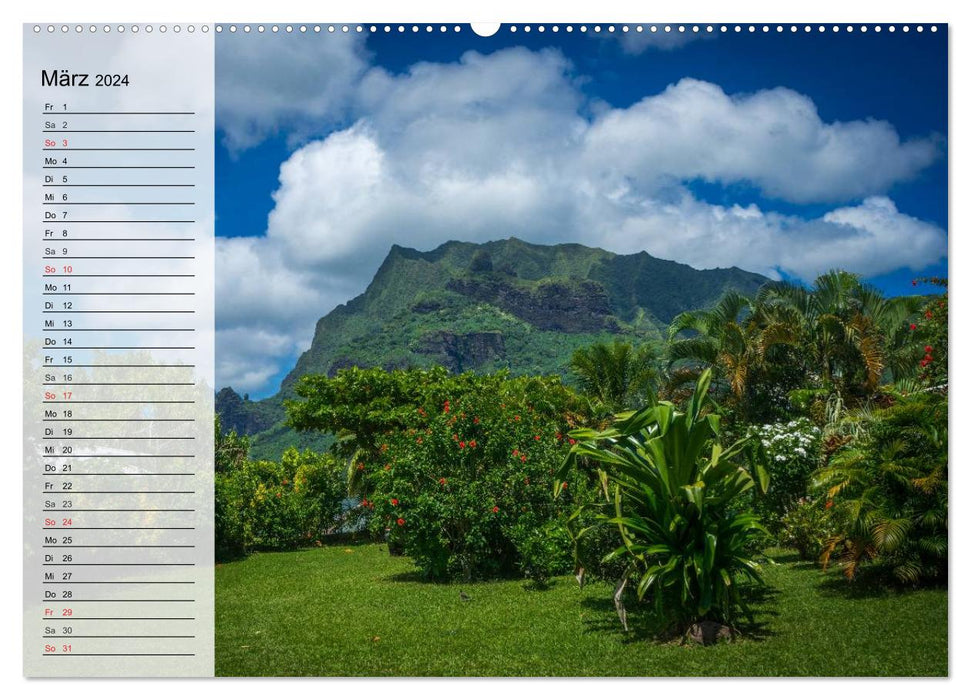 Rêves des mers du Sud. Paradis du Pacifique (Calvendo Premium Wall Calendar 2024) 