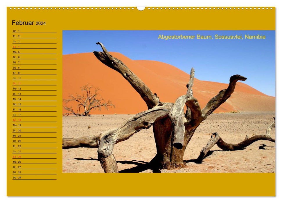 L'AFRIQUE du Sud (Calvendo Premium Wall Calendar 2024) 