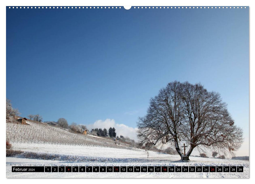 Impressions de Franconie (calendrier mural CALVENDO 2024) 